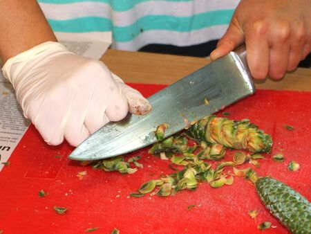 Fichtenzapfen Ansatz wird zubereitet