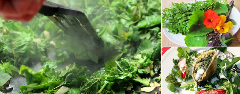 Datei:WK-Kochen Header.jpg