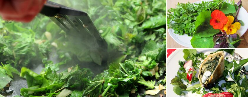 Wildkräuter kochen - eine kulinarische Entdeckung