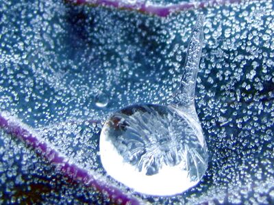 erstes Eis im Tautropfen
