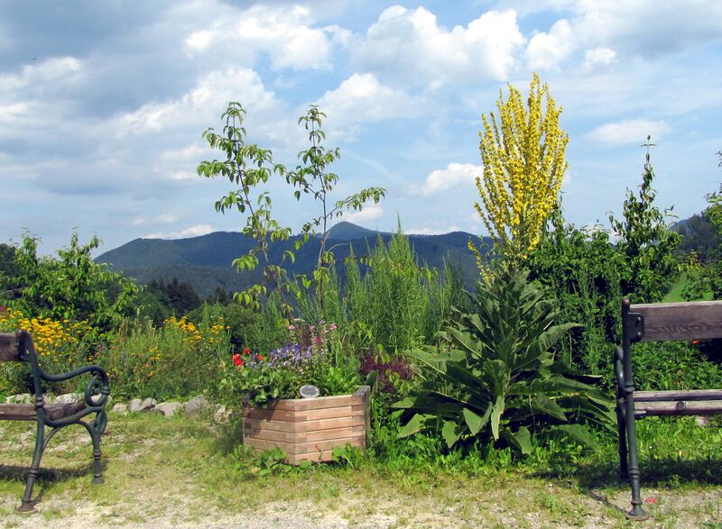 Datei:SH Terrasse Blick.jpg