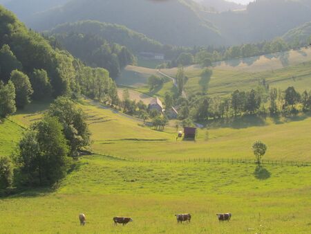 Klaustal an einen Junimorgen
