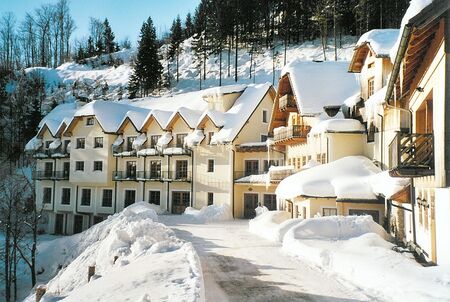 haus Talblick undJagdhaus im Winter