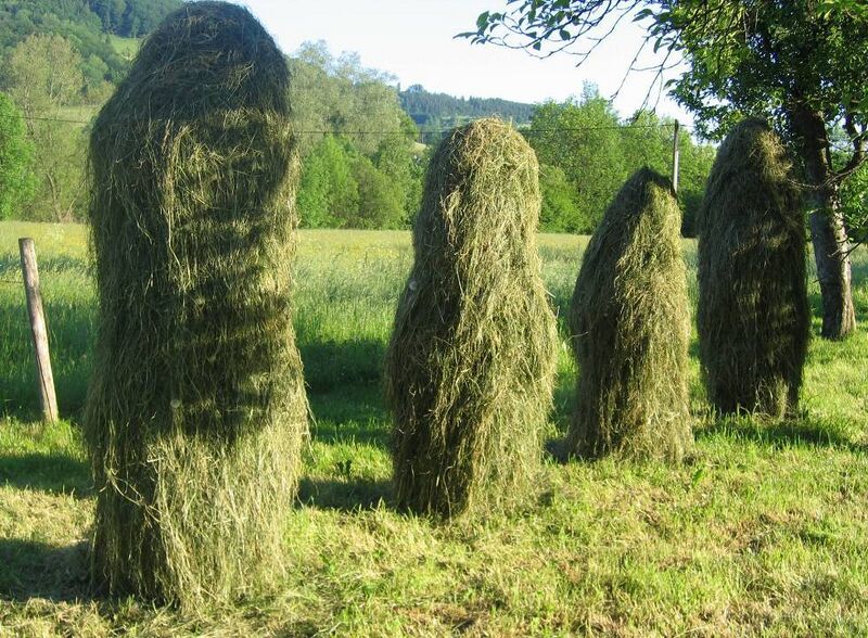 Datei:Kleehüfeln beim Haus Steiner.jpg