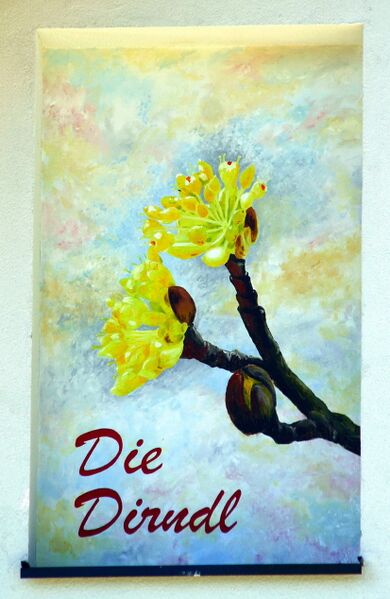 Datei:Dirndlblüte Trimmel.jpg