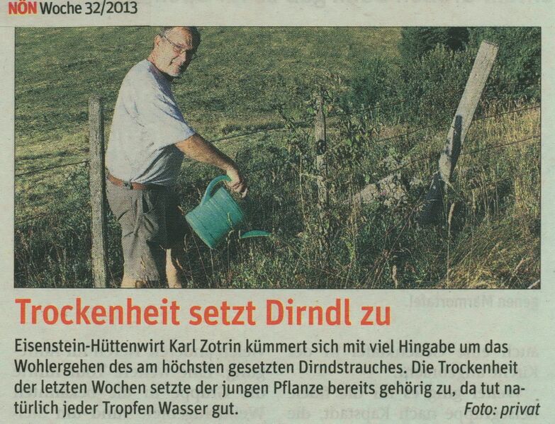 Datei:Eisentein Dirndl Trockenheit.jpg