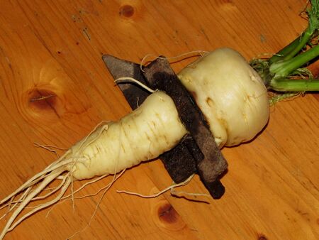 "Gefangener" Pastinak