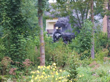 Mh6 dampft an den Steinschaler Gärten vorbei