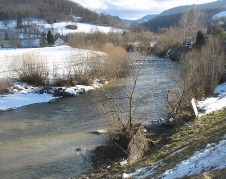 Pielach im Frühjahr