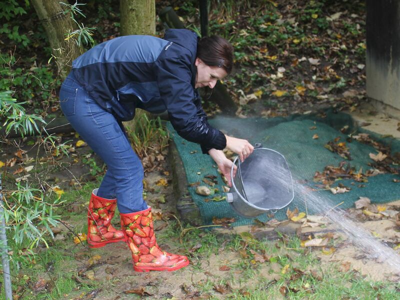 Datei:ALMO Eimerhalterin4.jpg