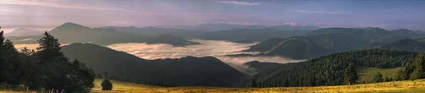 Pannorama von Scott Forsyth