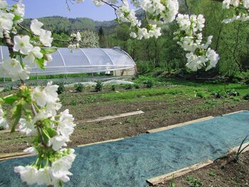 Frühling in den Steinschaler Gärten
