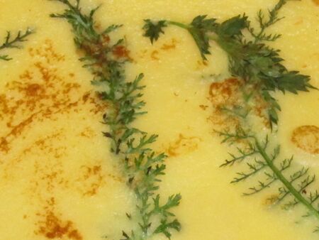 Wildkräuter-Kräuterpalatschinke