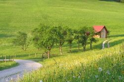 Streuobstwiese auf 800m in der Loich