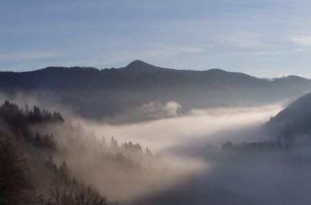 Nebel im Tal - Sonne im Steinschaler Dörfl
