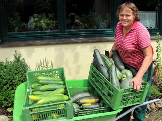 Frieda liefert mit Scheibtruhe in die Steinschaler Küche