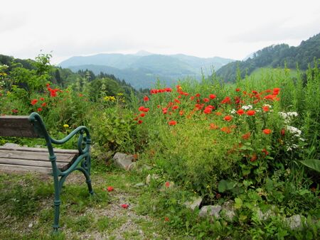 Blick von Terrasse im Steinschaler Dörfl
