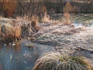 Produktionsgartenteiche im Winter