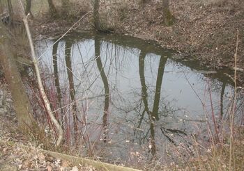 die Kirchenbauer Låckn Kirchberg