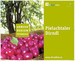 GR Pielachtaler Dirndl - Regionslogo