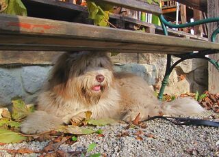 Unter der Bank das Geschehen kontrollieren