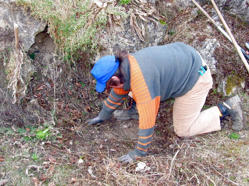 Datei:SG-Winterarbeiten .jpg