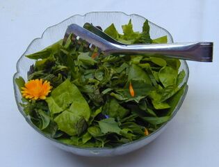 Salat aus Melden, Ampfer und Gänsefuß