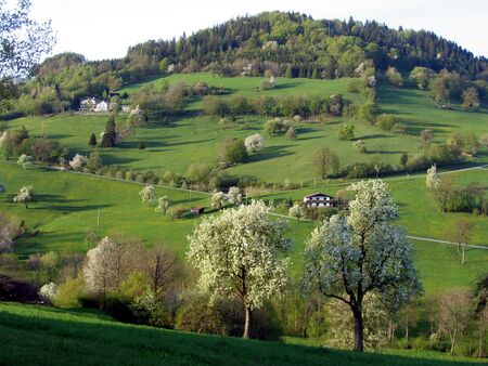 Fronberg im Frühjahr