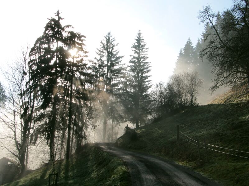 Datei:Nebel oberhalb Oachnerhof.JPG