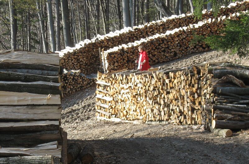 Datei:Brennholz Gasibühel.jpg