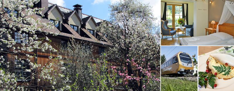 Datei:Header Bus SHof ohne Logo.jpg