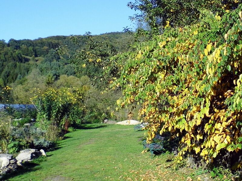 Datei:SG-Kiwiwand Herbst0.jpg