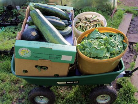 Erntewagerl - CO2-freier Transport