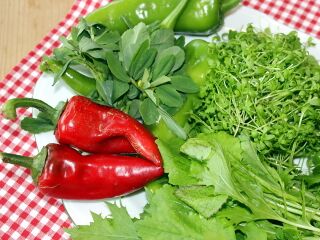 November-Ernte aus dem Folientunnel