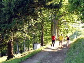 Kendler Eibe mit Paula