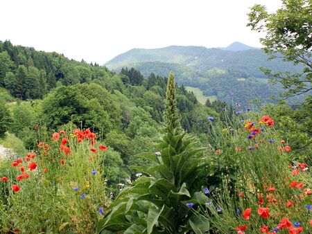 Blick auf Exkursionslandschaft Juni