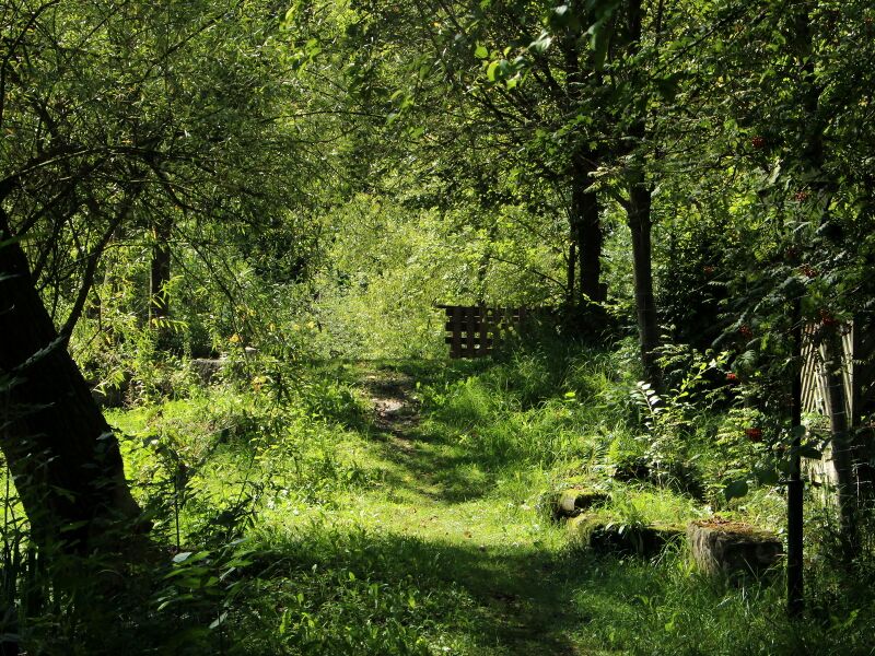 Datei:SG ST Teichweg Sommer.JPG