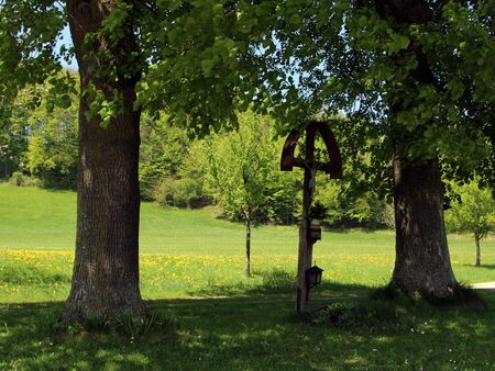 Großwarthkreuz und Linden