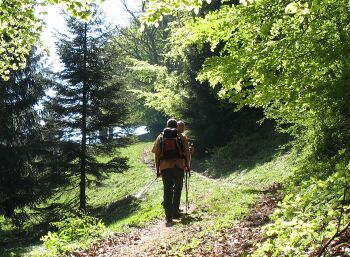 Wanderidyll am Rundweg652