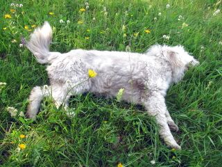 Paula nach einer Bergwanderung