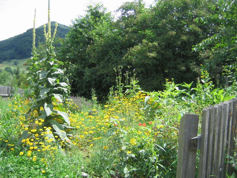 Datei:SG Mostiniumdach Gaisbühel.jpg