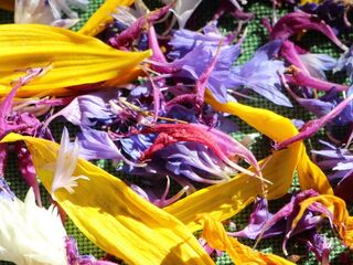 Blütenmischung beim Trocknen