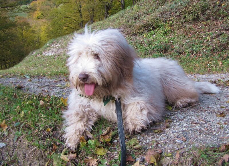 Datei:Paula Dirndlweg1.jpg