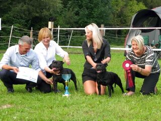 Staffordshire Bullterrier Treffen 2014