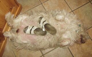 Lilo in beliebter Ruheposition