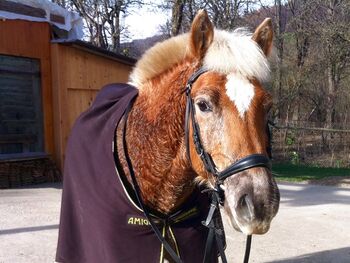 Ari einer von Johannas Lieblingen - Herbst 2012