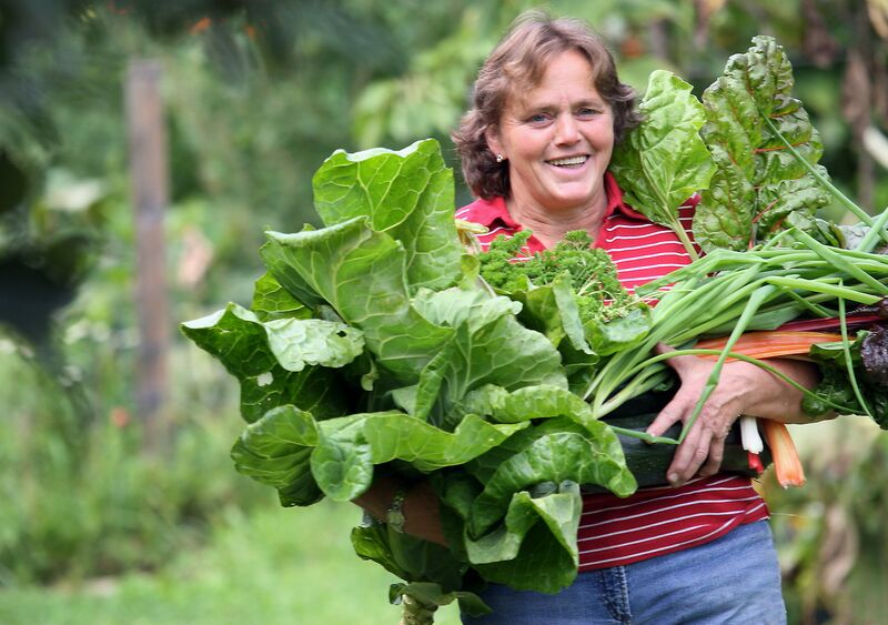 Datei:SG Frieda - Ernte 09.jpg