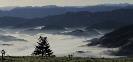 Gipfelblick: Morgennebel im Traisental