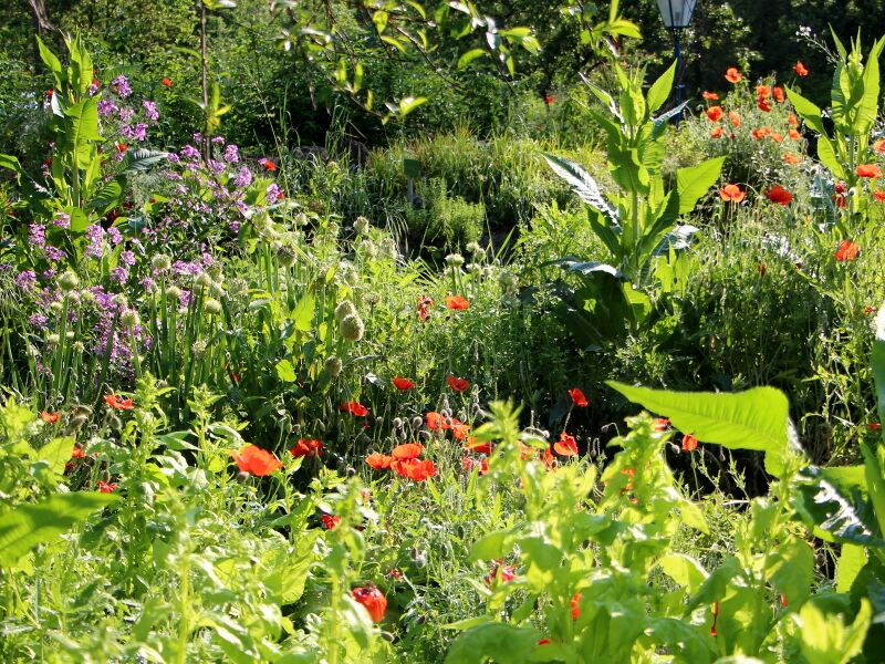 Datei:SG Naturgarten Vielfalt Karden.jpg