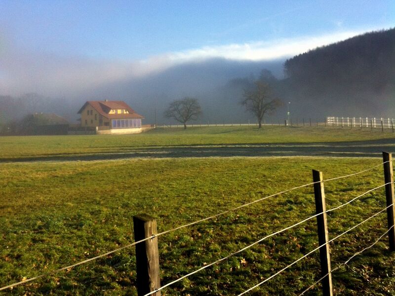 Datei:Nebelgrenze Dirndltal.jpg